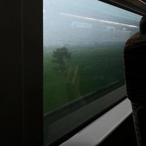 墨人操中国女人的逼
