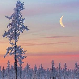 墨人操中国女人的逼
